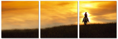 50% OFF on Go Hooked Orange And Yellow Mdf 3 Panel Wallpaper(Multicolor)