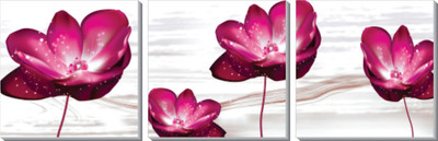 

Design Home Floral Art(Multicolor)