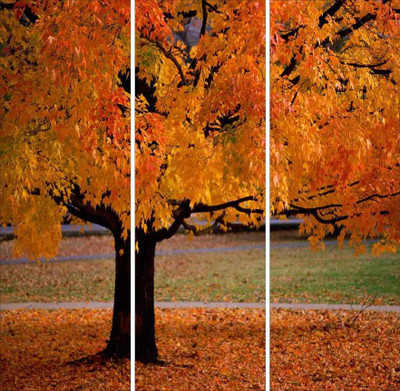 50% OFF on Go Hooked Yellow And Orange Mdf 3 Panel Wallpaper(Multicolor)