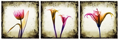 50% OFF on Go Hooked Pink And Yellow Mdf 3 Panel Wallpaper(Multicolor)