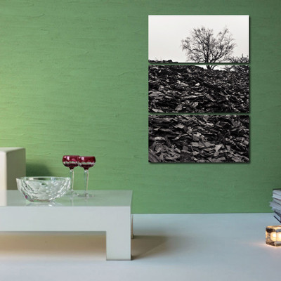 5% OFF on 999 Store Multiple Frames Printed Forest Tree like Modern Wall Art Painting(Multicolor) 5% OFF on 999 Store Multiple Frames Printed Forest Tree like Modern Wall Art Painting(Multicolor)