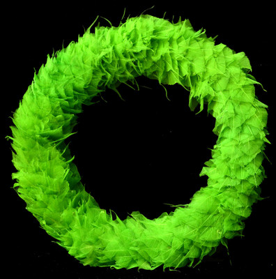 Exotic Creations Neony Leaves - Dried flower wreath(cm 40, Green)