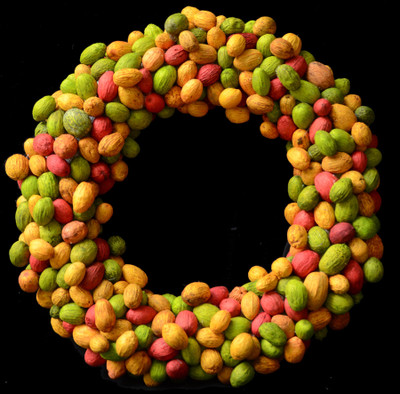 

Exotic Creations Perfect Blend - Dried flower wreath(cm 40, Multicolor)