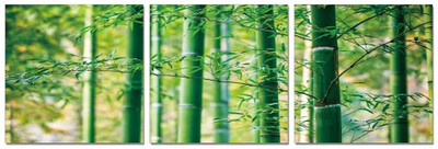 50% OFF on Go Hooked 3 Panel Wall Decor(Multicolor)