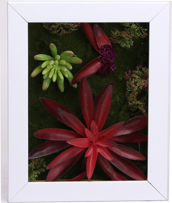 75 Off On Fourwalls Artificial Succulent Wall Hanging Garden 4 20 Cm X Cm 25 Multicolor On Flipkart Paisawapas Com