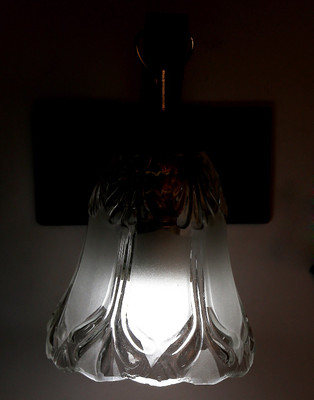 

Limelight Pendant Wall Lamp