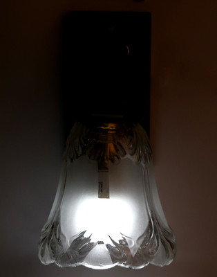 

Limelight Pendant Wall Lamp