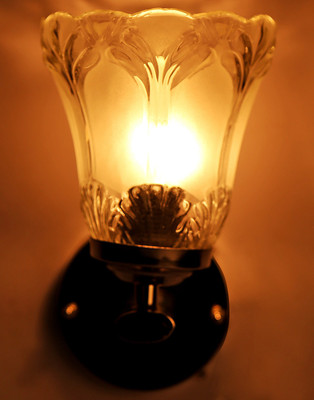 

Limelight Pendant Wall Lamp