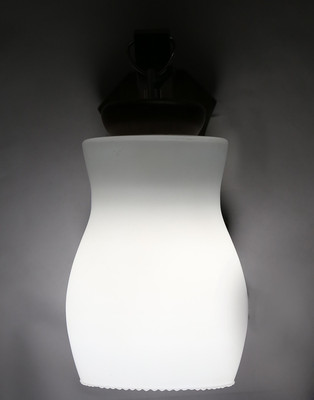 

Limelight Pendant Wall Lamp