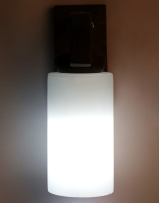 

Limelight Pendant Wall Lamp
