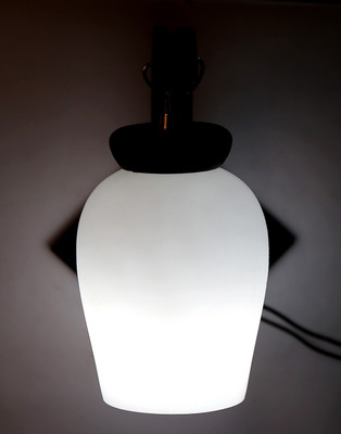 

Limelight Pendant Wall Lamp