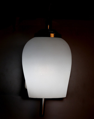 

Limelight Pendant Wall Lamp