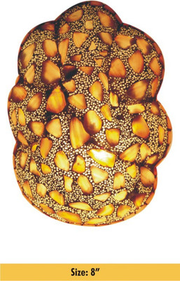 

Shivam Picture Light Wall Lamp
