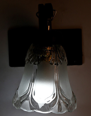 

Limelight Pendant Wall Lamp