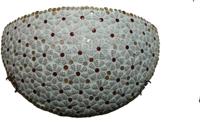 

Bhomeiaji Uplight Wall Lamp