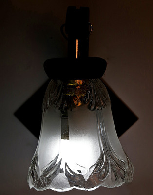 

Limelight Pendant Wall Lamp