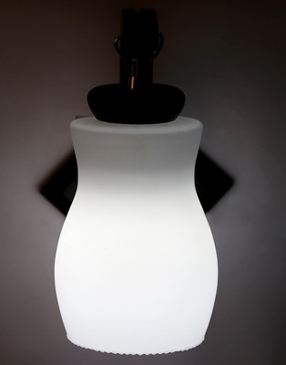 

Limelight Pendant Wall Lamp