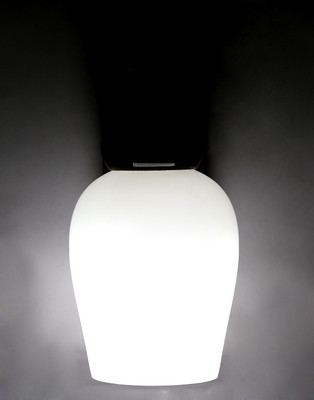 

Limelight Pendant Wall Lamp