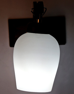 

Limelight Pendant Wall Lamp