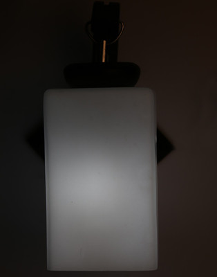 

Limelight Pendant Wall Lamp