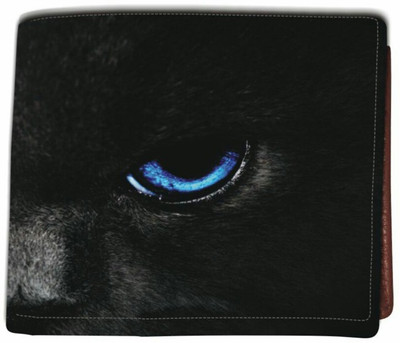 

Aaronic Men Multicolor Genuine Leather Wallet(6 Card Slots)