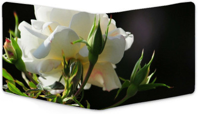 

Shoprider Men Multicolor Canvas, Genuine Leather Wallet(8 Card Slots)