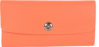 

Kleio Casual Multicolor Clutch