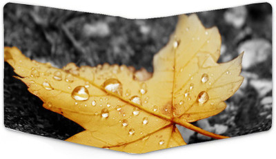 

Shoprider Men Multicolor Canvas, Genuine Leather Wallet(8 Card Slots)