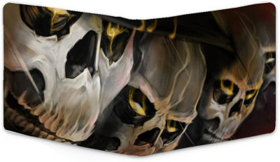 

Shoprider Men Multicolor Canvas, Genuine Leather Wallet(8 Card Slots)