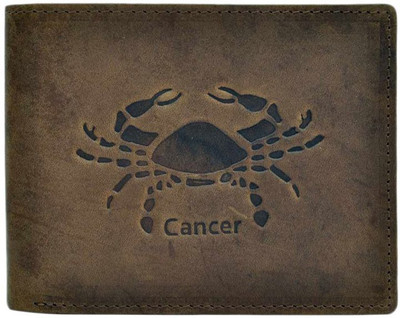 

Aoris Men Tan Genuine Leather Wallet(10 Card Slots), Tan-01