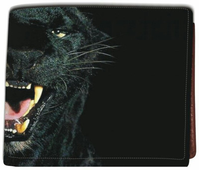 

Aaronic Men Multicolor Genuine Leather Wallet(6 Card Slots)