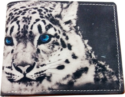 

Aaronic Boys Multicolor Artificial Leather Wallet(6 Card Slots)