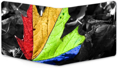 

Shoprider Men Multicolor Canvas, Genuine Leather Wallet(8 Card Slots)