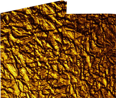 

Snooky Women Gold Tyvek Wallet(4 Card Slots)