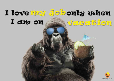 

Bheja Fry Humor Wallpaper(29.7 cm X 42 cm)