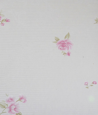 

Suraj International Art & Paintings Wallpaper(1000 cm X 53 cm)