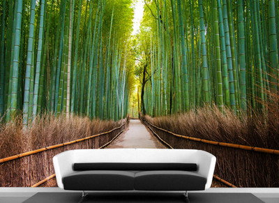 ELL DECOR Nature Wallpaper(101 cm X 152 cm)
