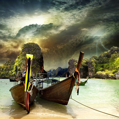 

ELL DECOR Nature Wallpaper(365 cm X 365 cm)