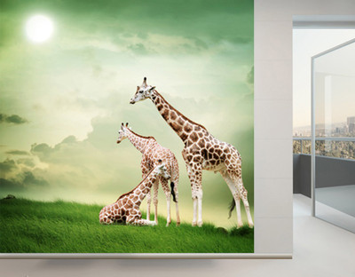 

ELL DECOR Nature Wallpaper(335 cm X 335 cm)
