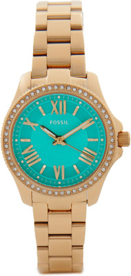 

Fossil AM4584 Cecile Watch - For Women