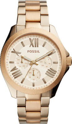 

Fossil AM4634 Cecile Watch - For Men