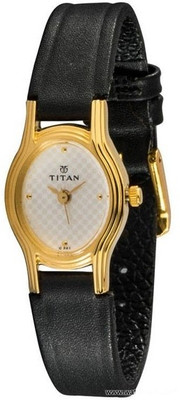 

Titan NB2449YL01 Watch - For Women