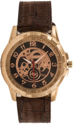 Vizion VCS-102 Classic Time Watch  - For Men   Watches  (Vizion)