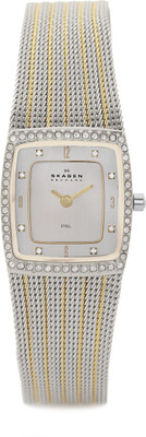 

Skagen 384XSGSG Watch - For Women
