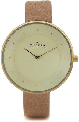 

Skagen SKW2138 Watch - For Women