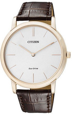 

Citizen AR1113-12A Watch - For Men