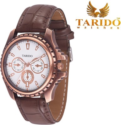 Tarido TD1075KL02 Analog Watch  - For Men   Watches  (Tarido)