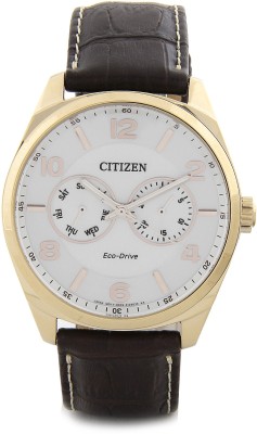Citizen AO9024-08A Eco-Drive Analog Watch  - For Men   Watches  (Citizen)