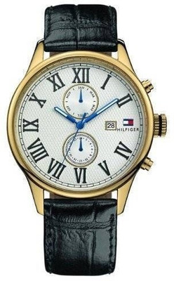 Tommy Hilfiger TH1710291/D Watch - For Men