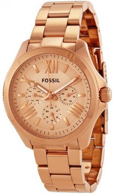 

Fossil AM4511 CECILE Watch - For Women
